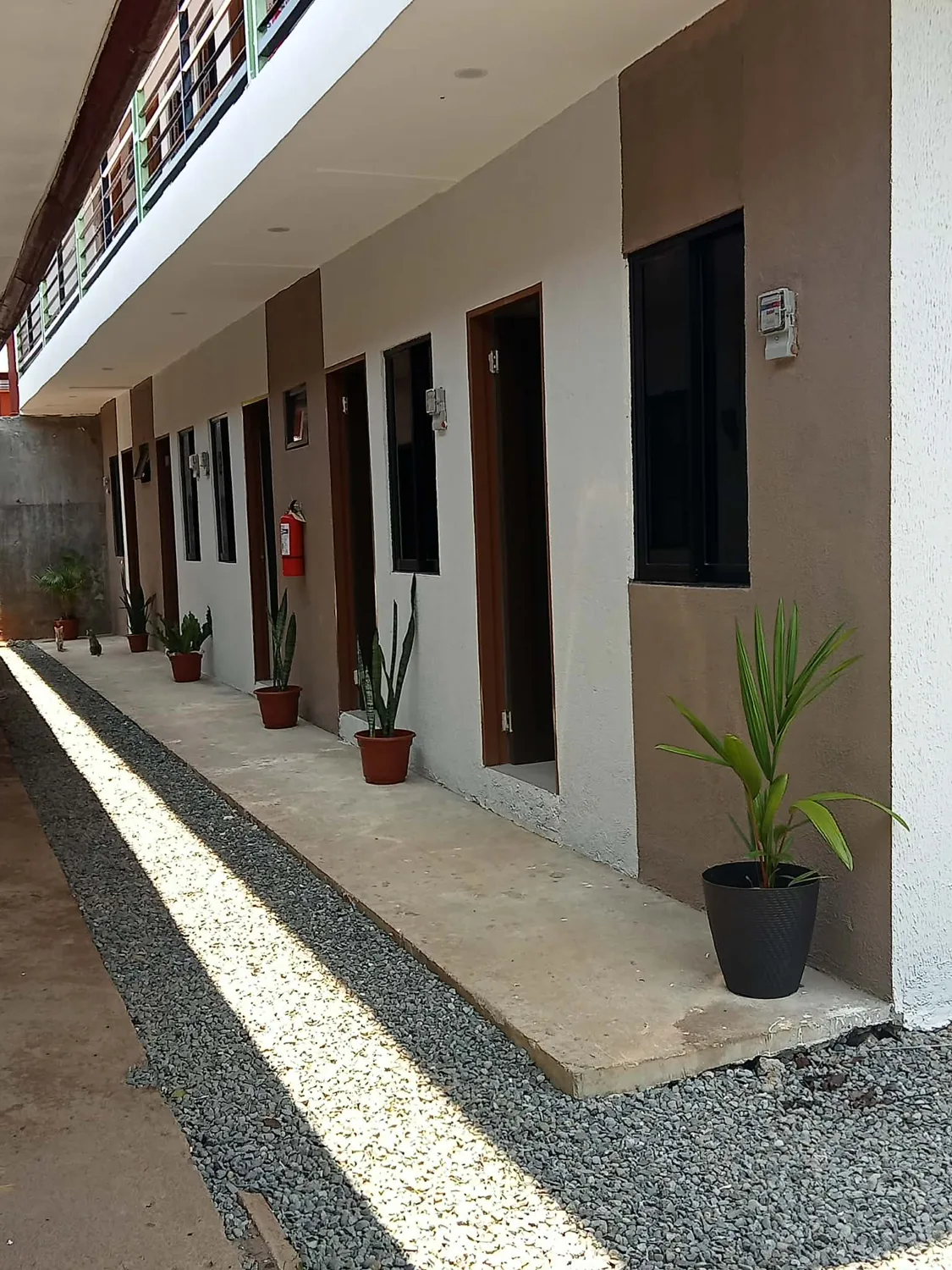 Ground-floor rooms and planted walkway at Rohan’s Boarding House in Alae, Manolo Fortich